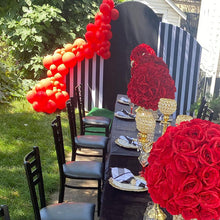 Load image into Gallery viewer, Black and White Stripes Chiara Backdrop Arched Wall Covers ONLY-ubackdrop