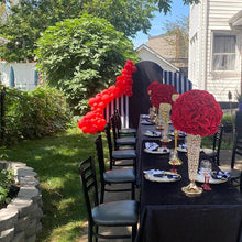 Load image into Gallery viewer, Black and White Stripes Chiara Backdrop Arched Wall Covers ONLY-ubackdrop