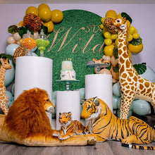 Load image into Gallery viewer, Green Grass Round Backdrop Wedding Baby Shower Birthday Circle Backdrop Custom Round Backdrop-ubackdrop