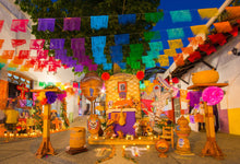 Load image into Gallery viewer, Mexico Street Decoration Photo Backgrounds for Dia De Los Muertos Studio-ubackdrop