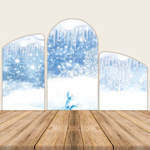 Load image into Gallery viewer, Wonderland Theme Birthday Party Decoration Chiara Backdrop Arched Wall Covers Snow &amp; Ice ONLY-ubackdrop